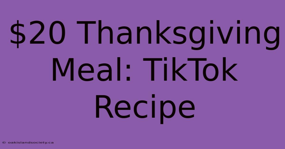 $20 Thanksgiving Meal: TikTok Recipe