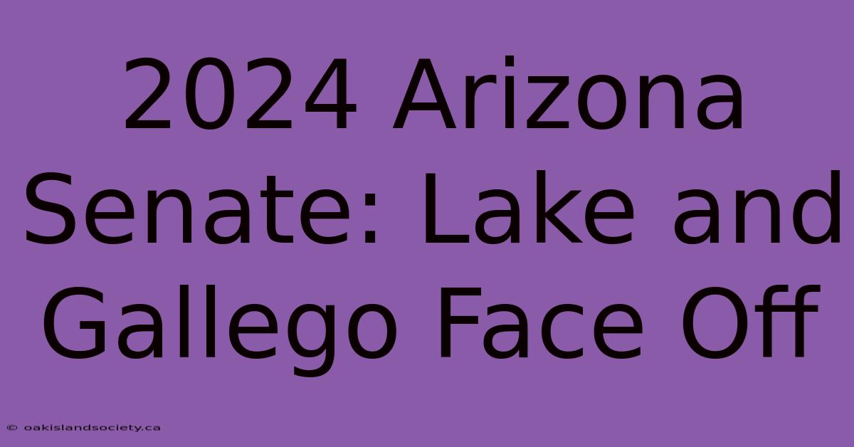 2024 Arizona Senate: Lake And Gallego Face Off 