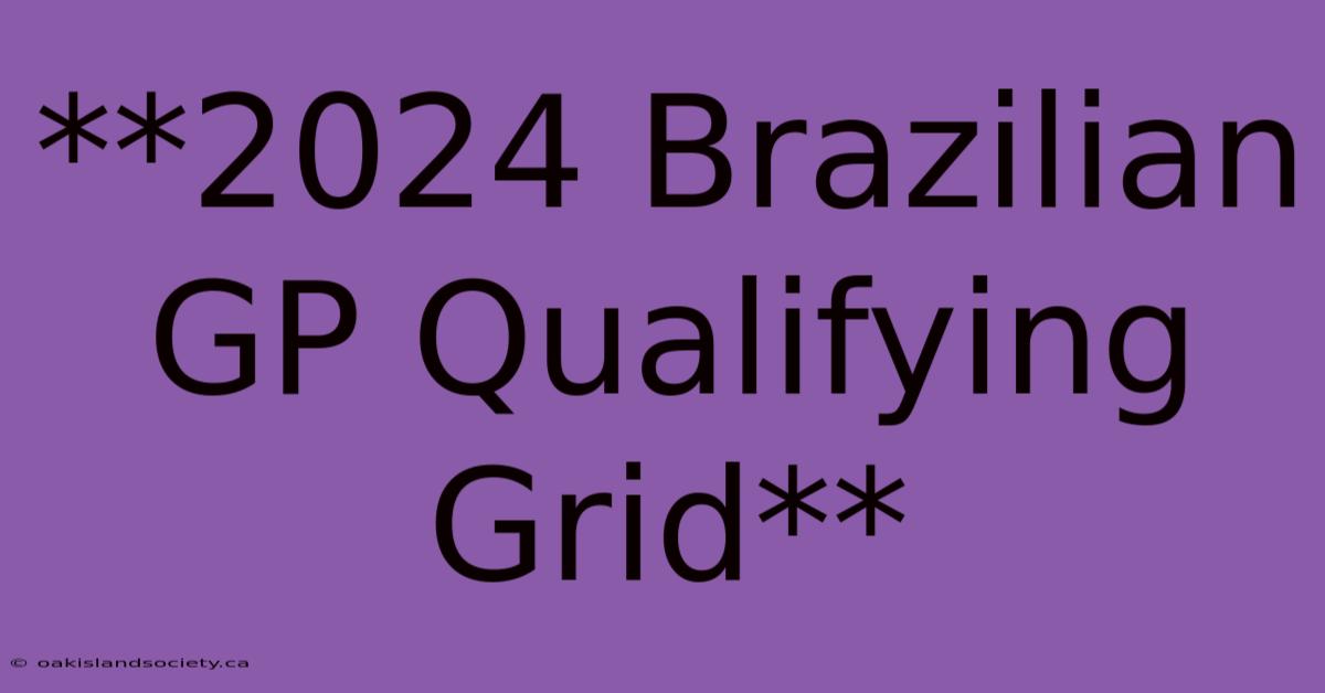 **2024 Brazilian GP Qualifying Grid**