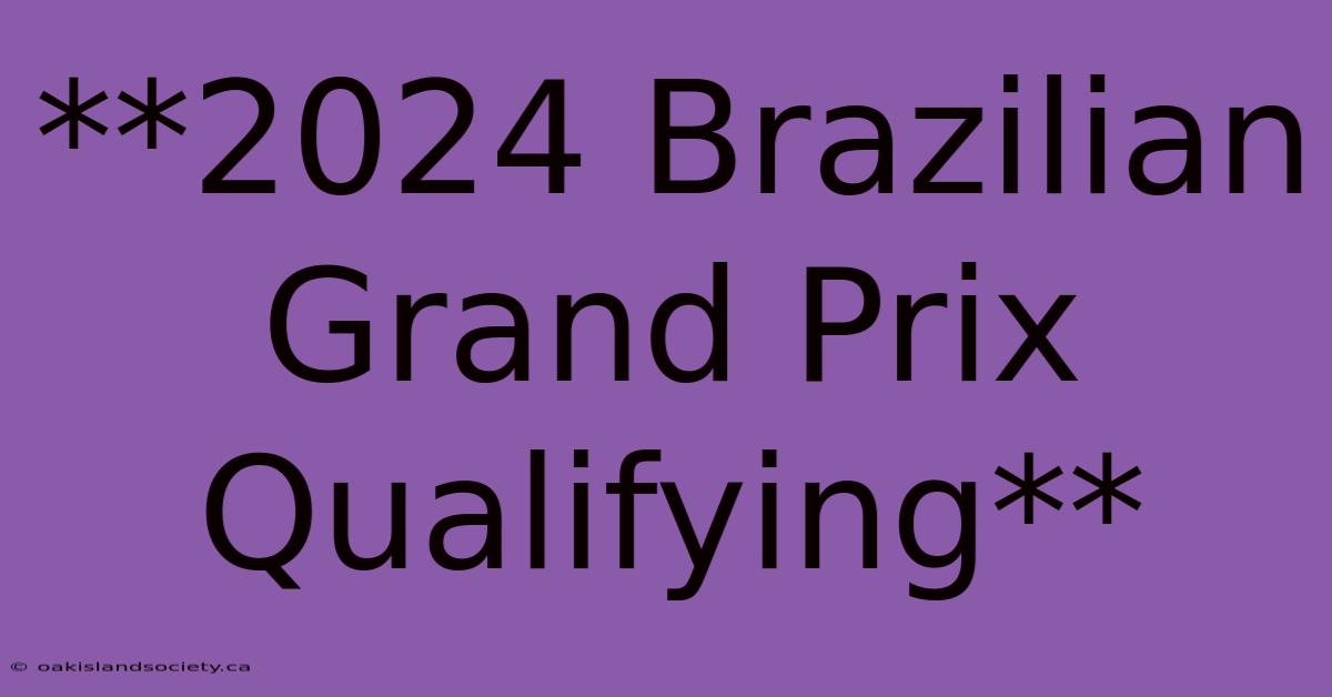 **2024 Brazilian Grand Prix Qualifying** 