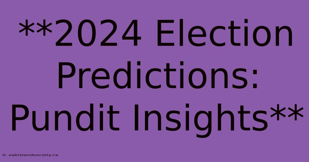 **2024 Election Predictions: Pundit Insights**