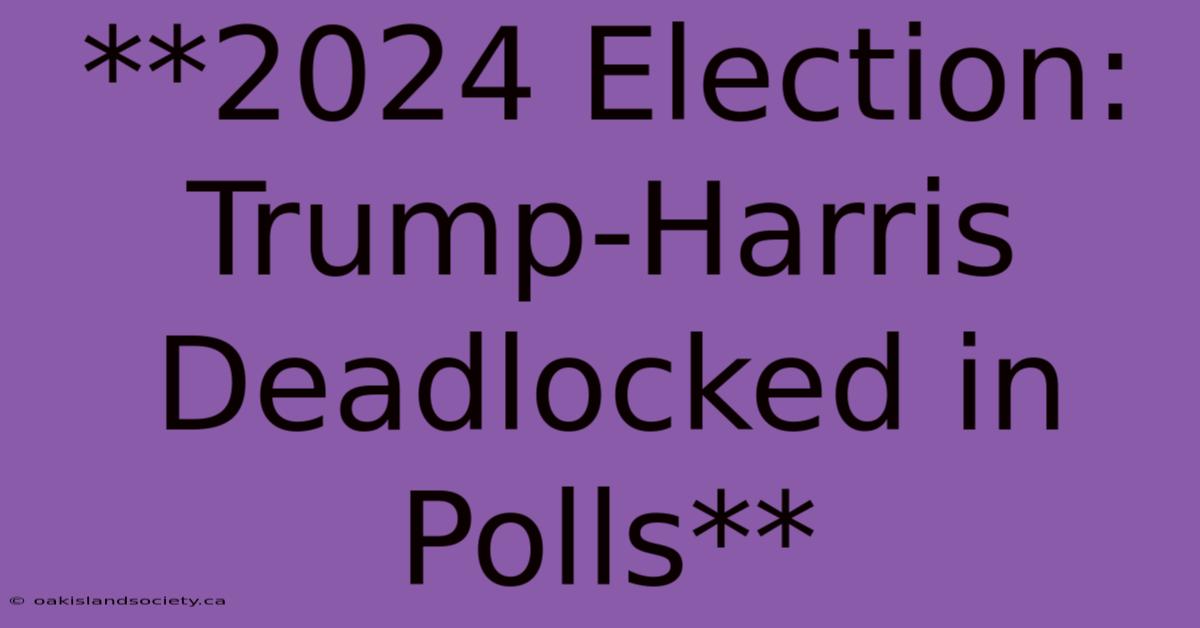 **2024 Election: Trump-Harris Deadlocked In Polls** 