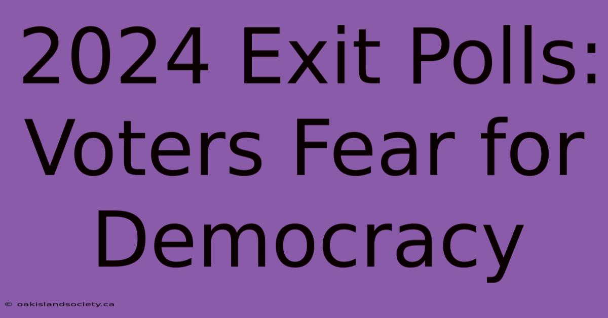 2024 Exit Polls: Voters Fear For Democracy