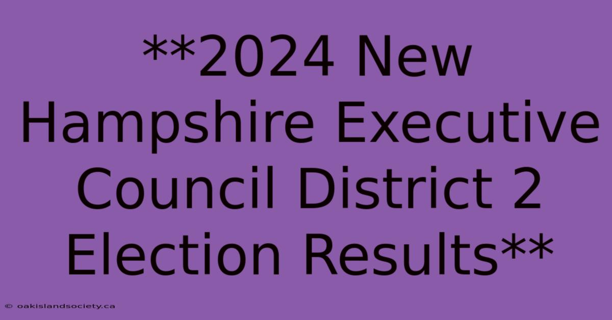 **2024 New Hampshire Executive Council District 2 Election Results**