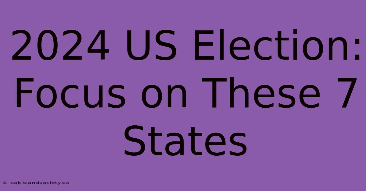 2024 US Election: Focus On These 7 States