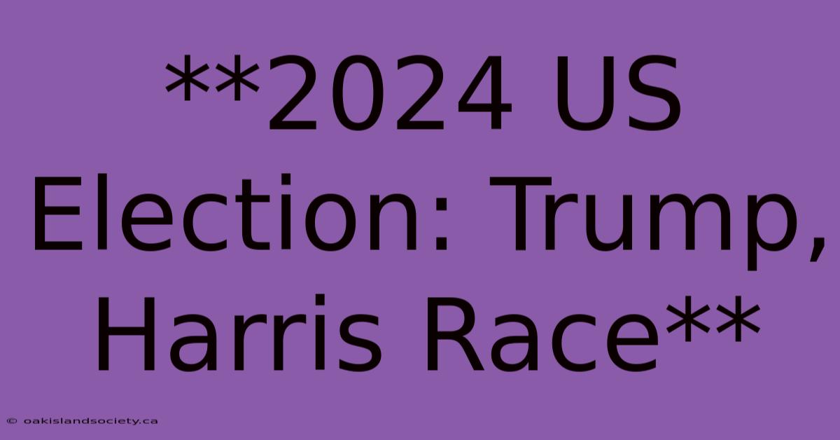 **2024 US Election: Trump, Harris Race**