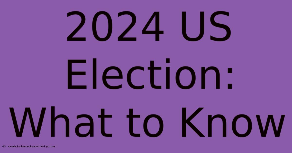 2024 US Election: What To Know 