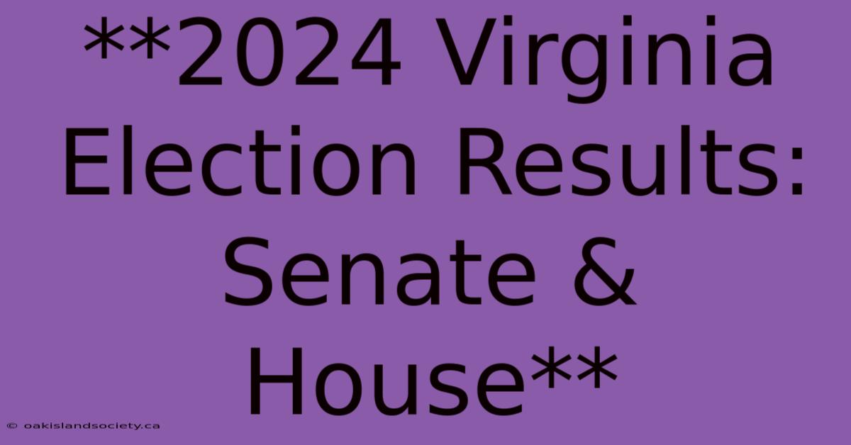 **2024 Virginia Election Results: Senate & House**