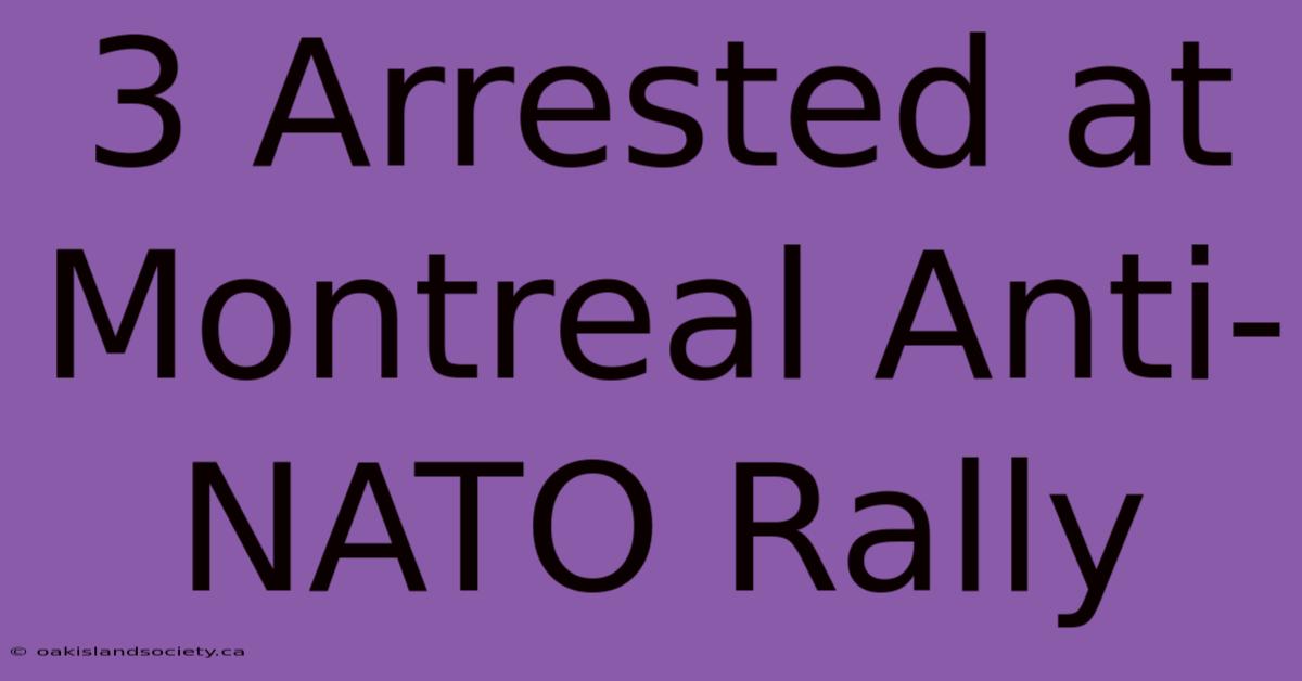 3 Arrested At Montreal Anti-NATO Rally