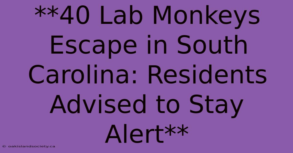 **40 Lab Monkeys Escape In South Carolina: Residents Advised To Stay Alert** 