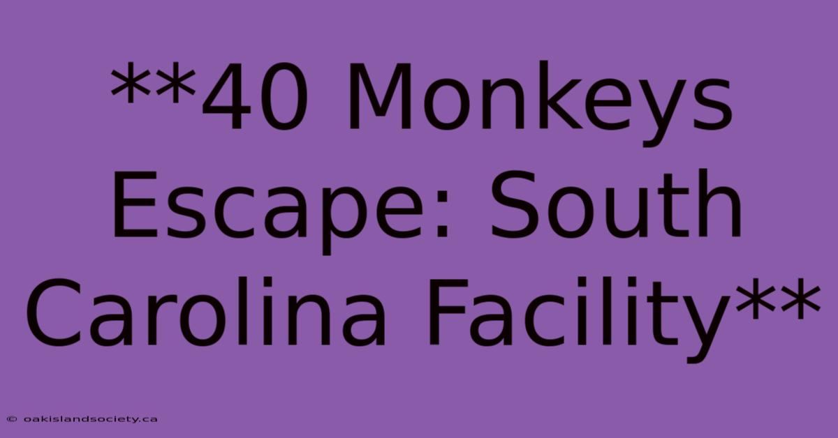 **40 Monkeys Escape: South Carolina Facility**