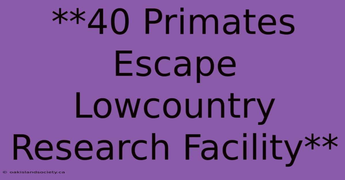 **40 Primates Escape Lowcountry Research Facility**