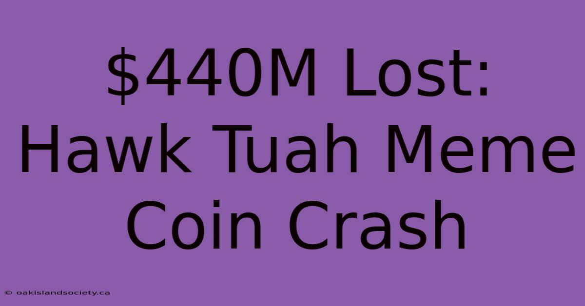 $440M Lost: Hawk Tuah Meme Coin Crash