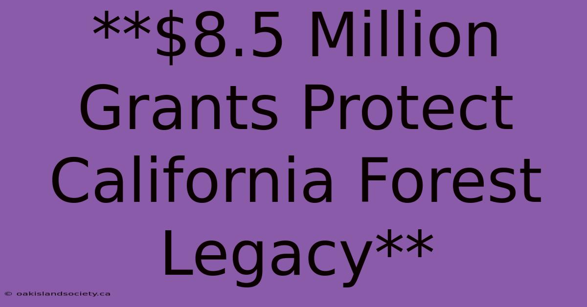 **$8.5 Million Grants Protect California Forest Legacy**