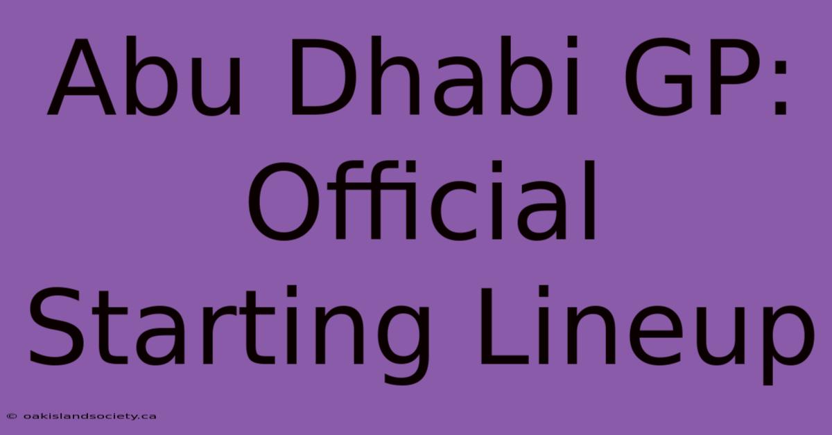 Abu Dhabi GP: Official Starting Lineup