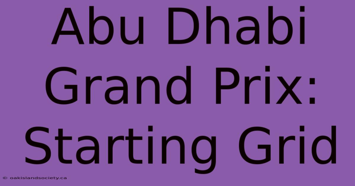 Abu Dhabi Grand Prix: Starting Grid