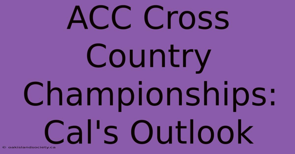 ACC Cross Country Championships: Cal's Outlook 