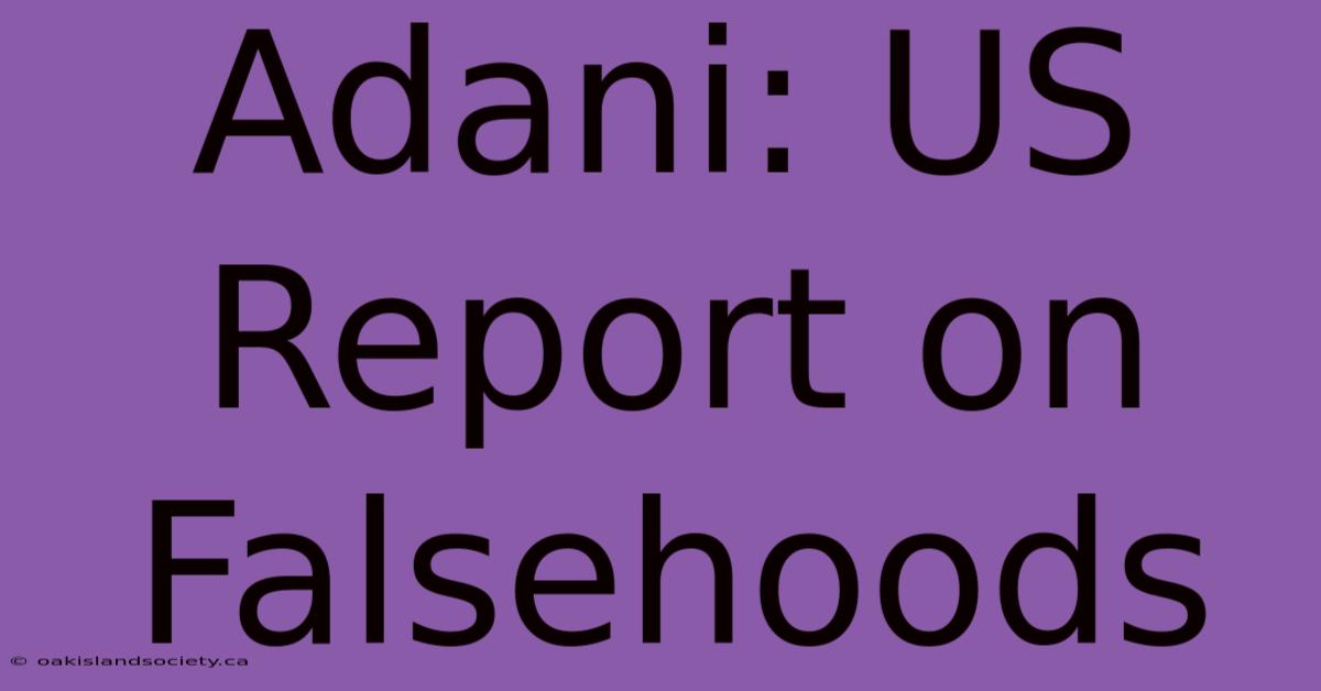 Adani: US Report On Falsehoods