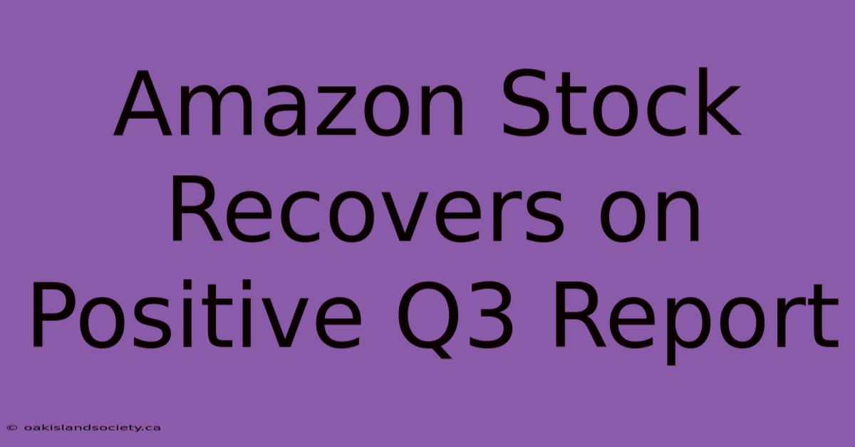 Amazon Stock Recovers On Positive Q3 Report