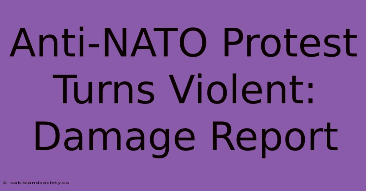 Anti-NATO Protest Turns Violent: Damage Report