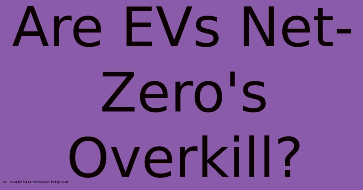 Are EVs Net-Zero's Overkill?