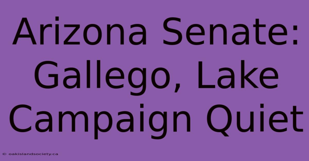 Arizona Senate: Gallego, Lake Campaign Quiet 