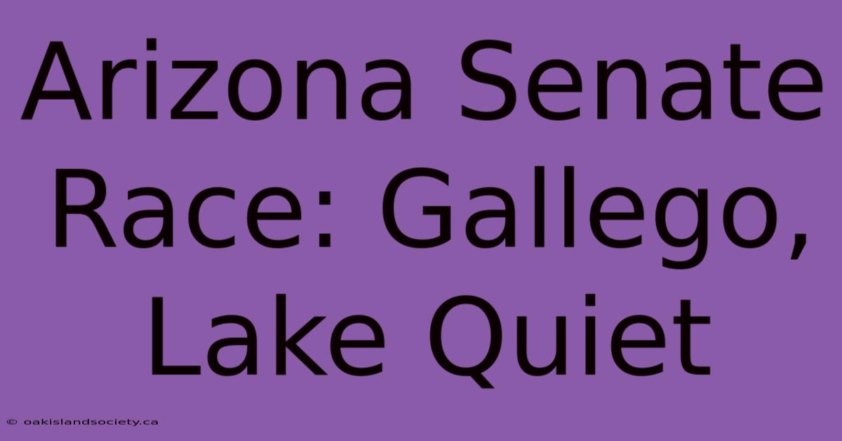 Arizona Senate Race: Gallego, Lake Quiet