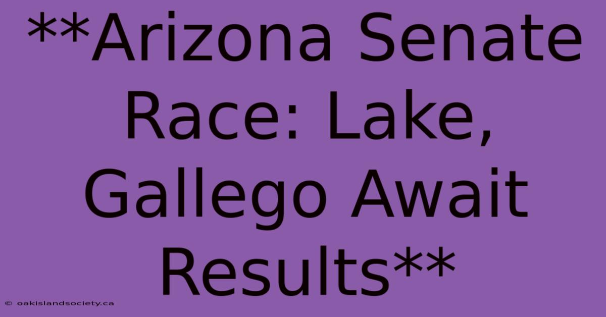 **Arizona Senate Race: Lake, Gallego Await Results**