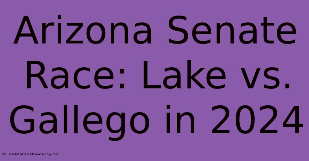 Arizona Senate Race: Lake Vs. Gallego In 2024