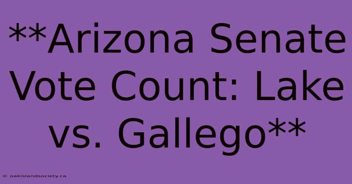 **Arizona Senate Vote Count: Lake Vs. Gallego**