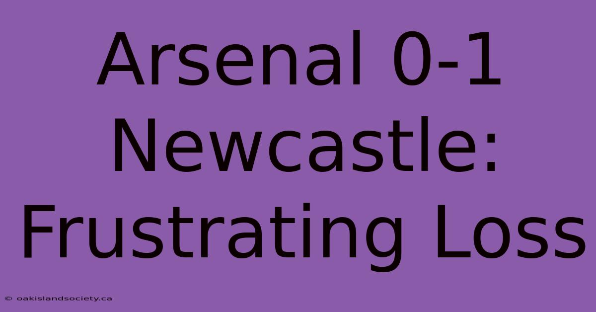 Arsenal 0-1 Newcastle: Frustrating Loss