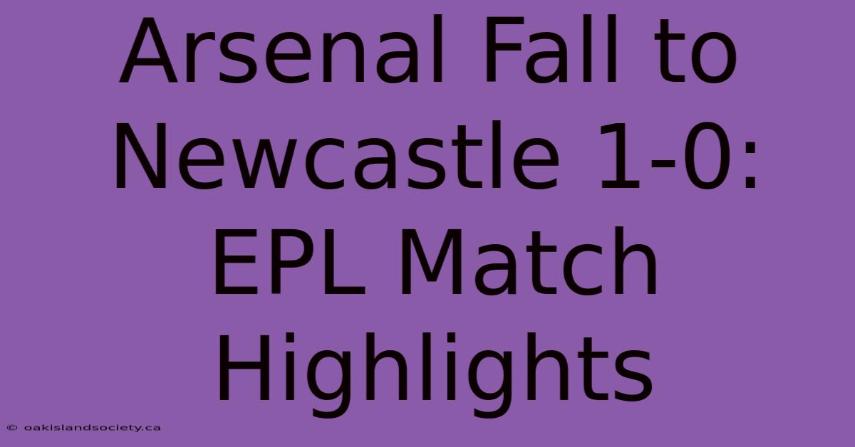 Arsenal Fall To Newcastle 1-0: EPL Match Highlights 