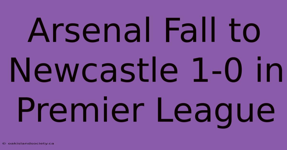 Arsenal Fall To Newcastle 1-0 In Premier League