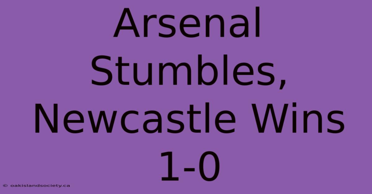 Arsenal Stumbles, Newcastle Wins 1-0