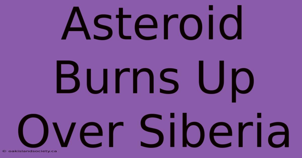 Asteroid Burns Up Over Siberia