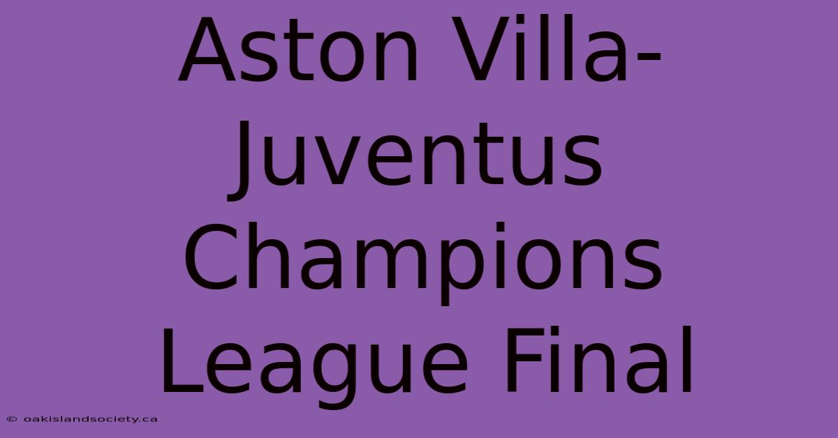 Aston Villa-Juventus Champions League Final