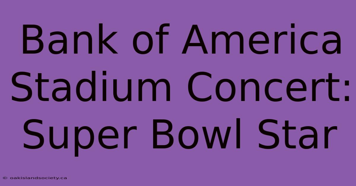 Bank Of America Stadium Concert: Super Bowl Star