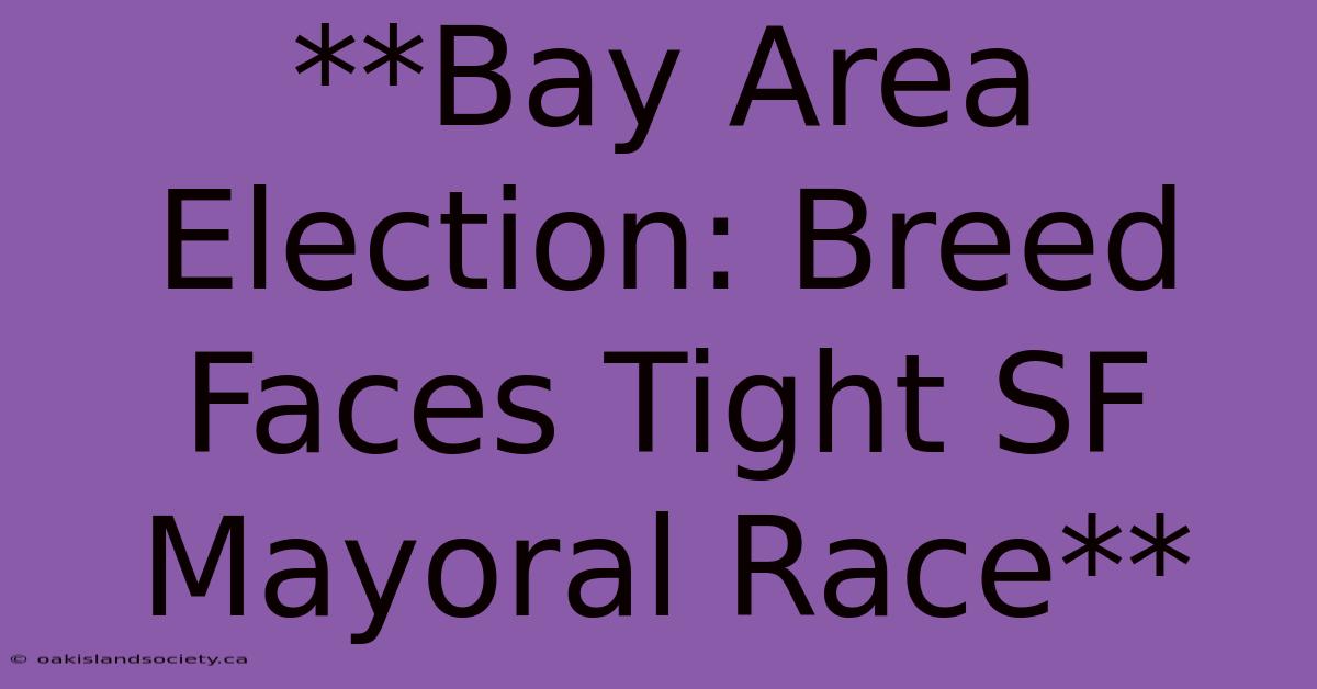 **Bay Area Election: Breed Faces Tight SF Mayoral Race**