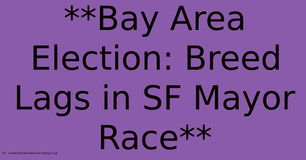 **Bay Area Election: Breed Lags In SF Mayor Race**