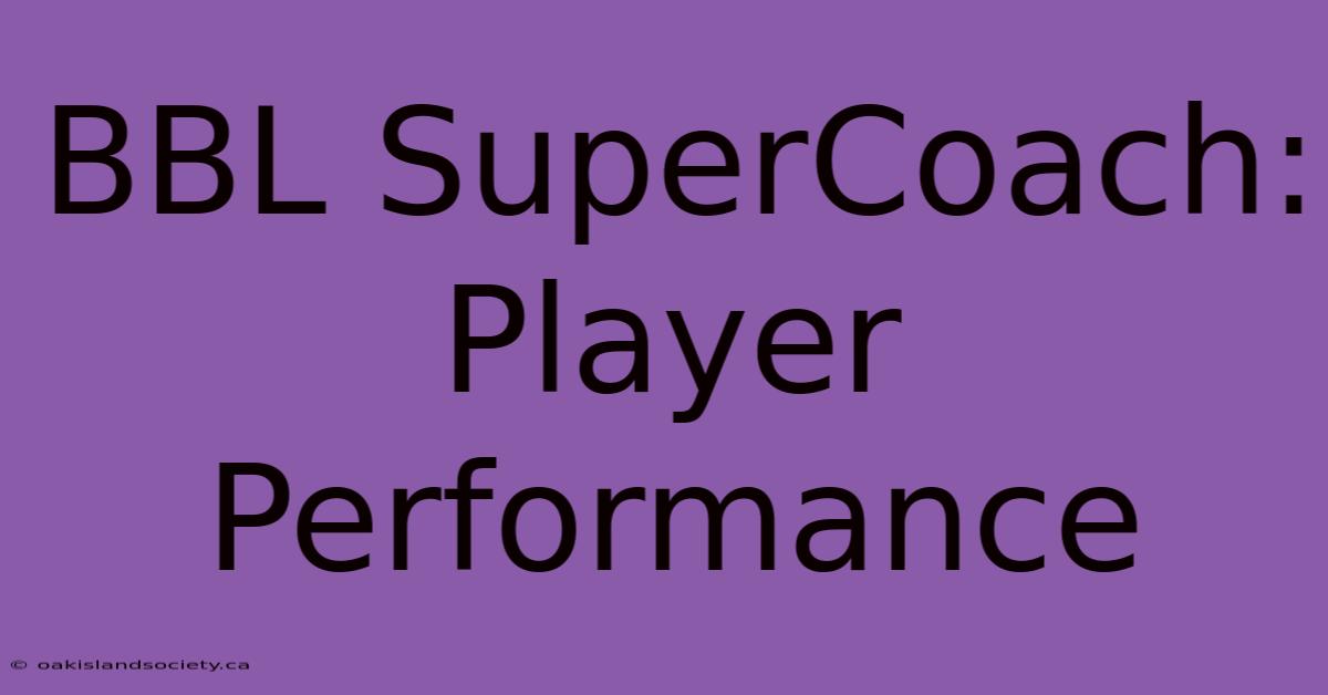 BBL SuperCoach: Player Performance