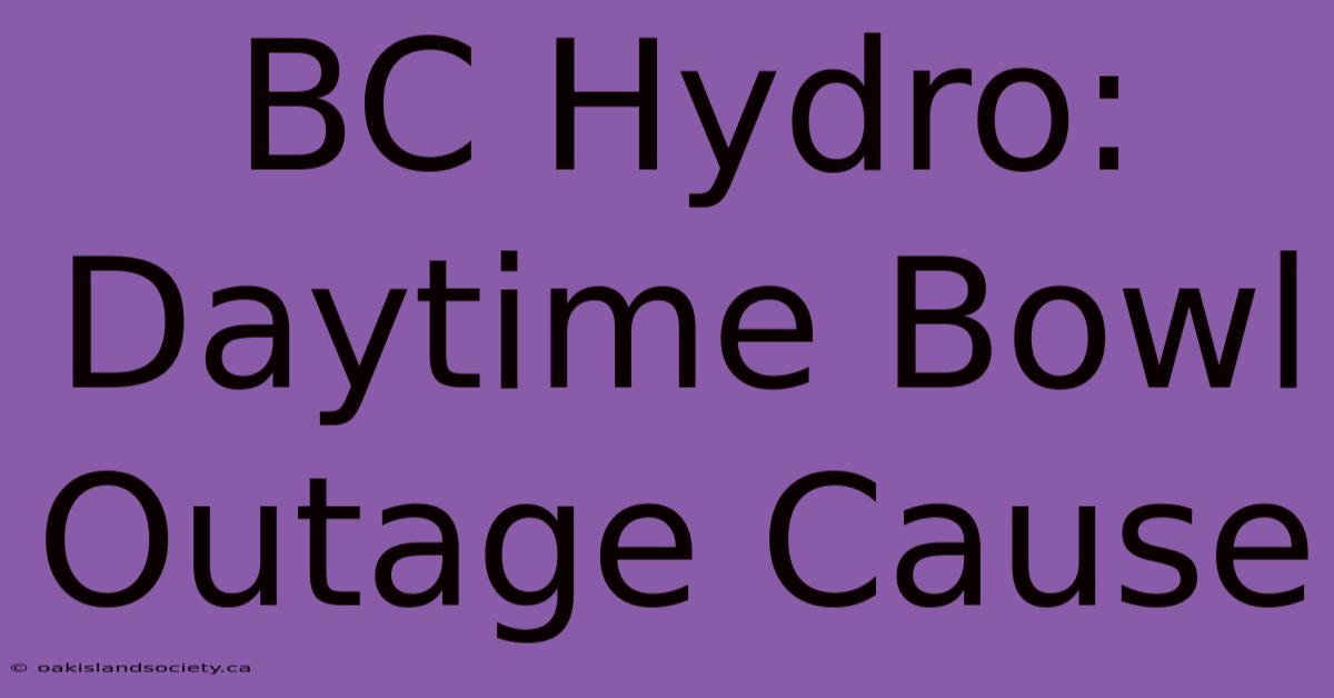 BC Hydro: Daytime Bowl Outage Cause