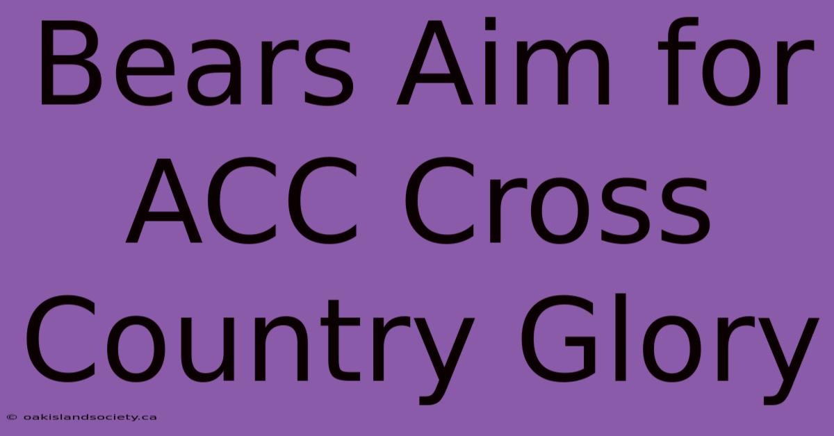 Bears Aim For ACC Cross Country Glory