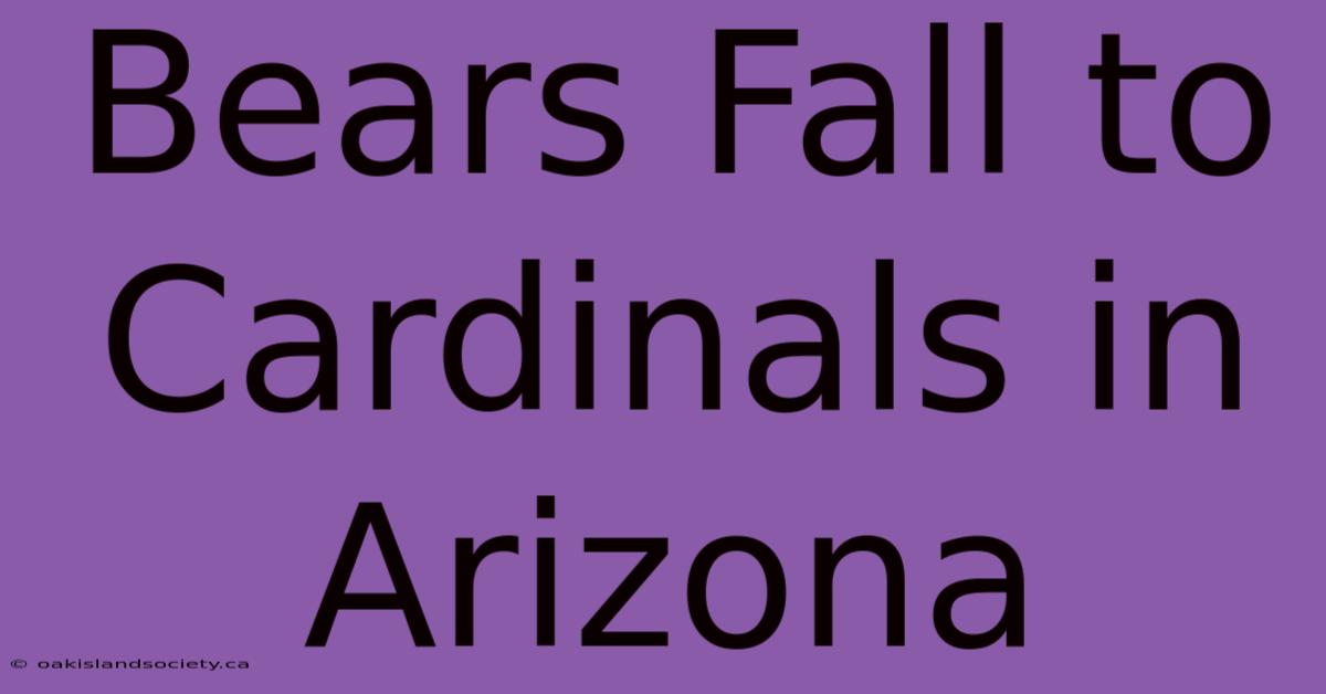 Bears Fall To Cardinals In Arizona