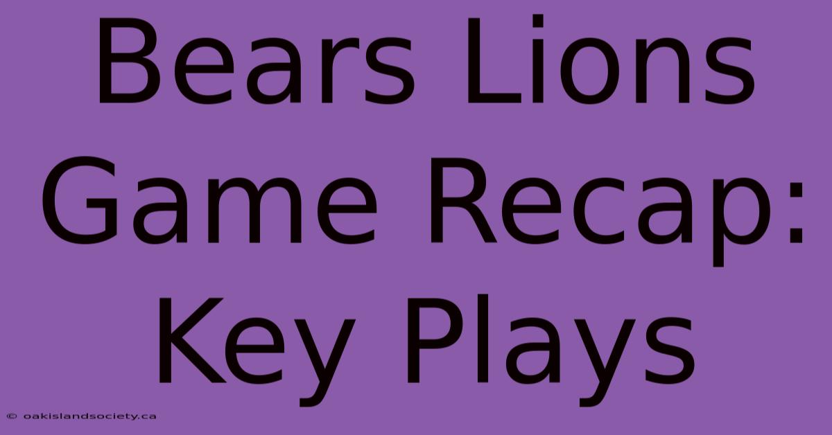 Bears Lions Game Recap: Key Plays