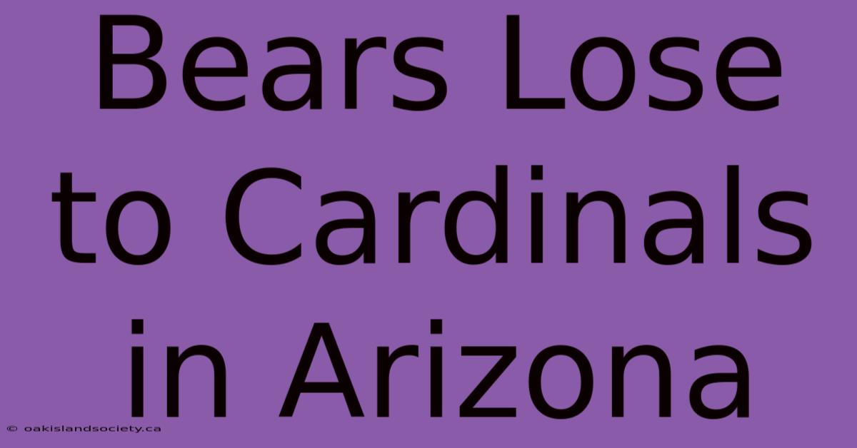 Bears Lose To Cardinals In Arizona