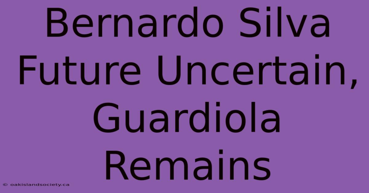 Bernardo Silva Future Uncertain, Guardiola Remains