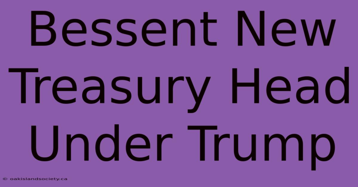 Bessent New Treasury Head Under Trump