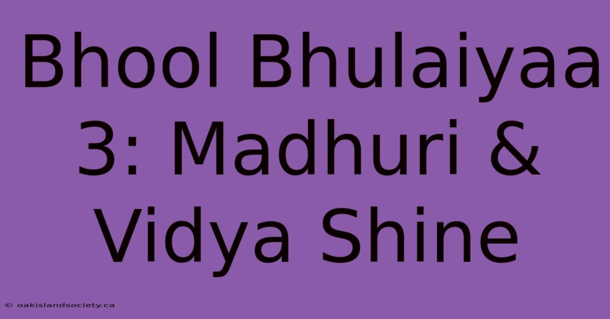 Bhool Bhulaiyaa 3: Madhuri & Vidya Shine