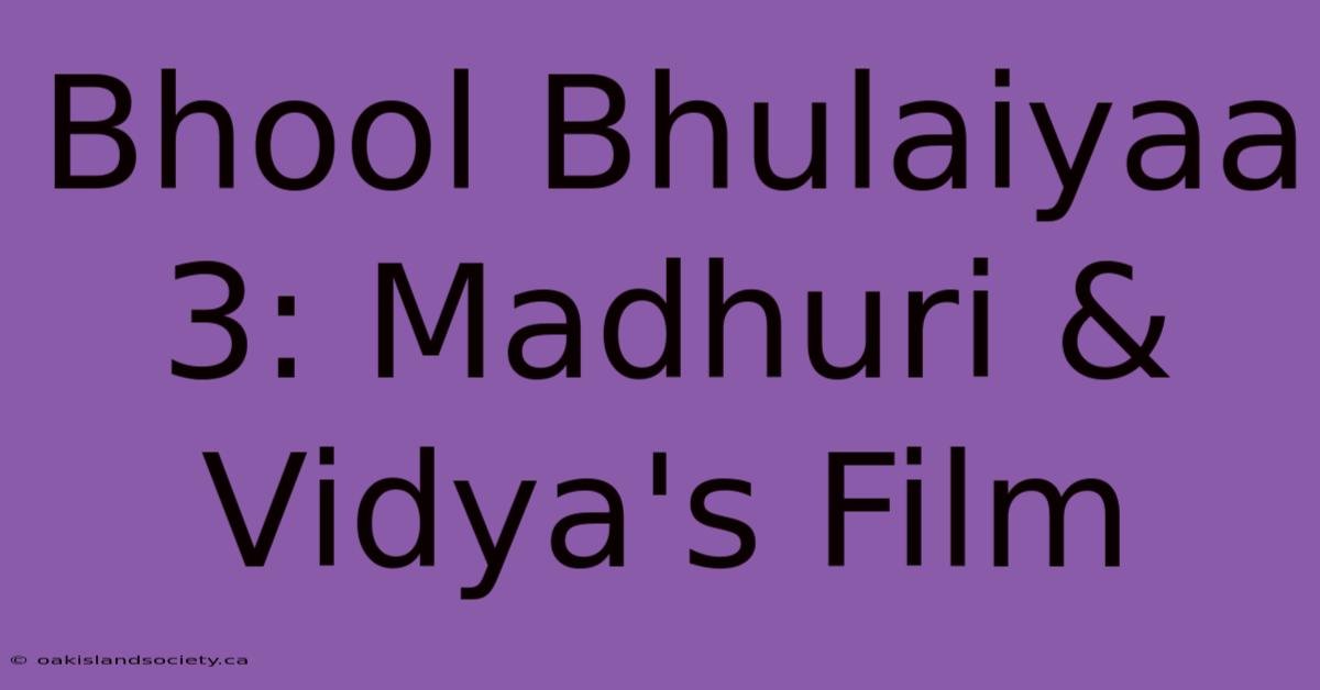 Bhool Bhulaiyaa 3: Madhuri & Vidya's Film 