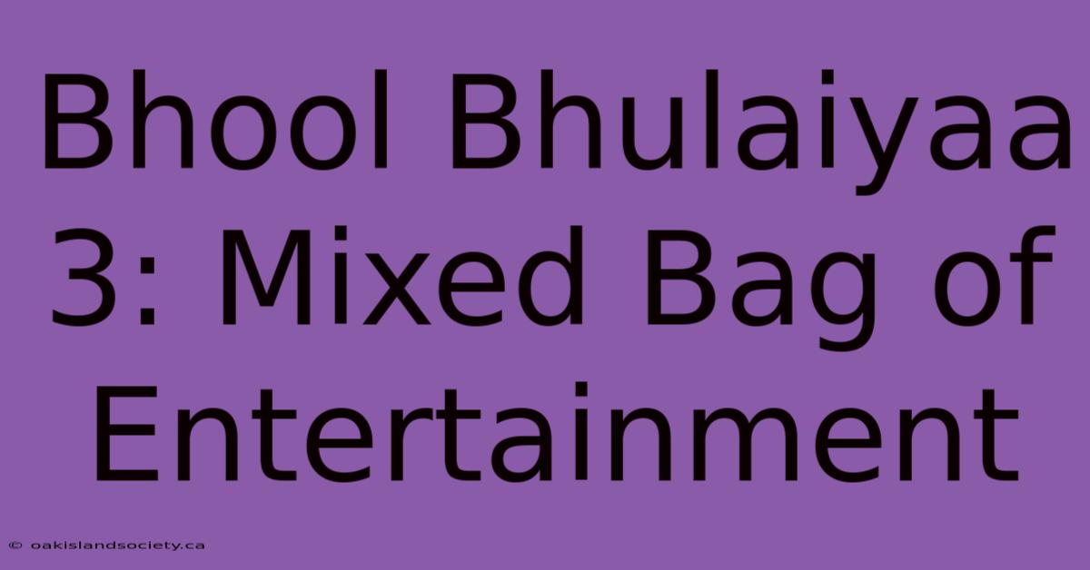 Bhool Bhulaiyaa 3: Mixed Bag Of Entertainment